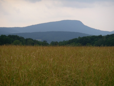 Buffalo Mountain