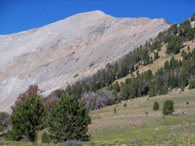 Washington Peak