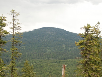 Signal Peak