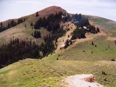 Buttercup Mountain