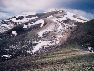 Quaking Asp Mountain