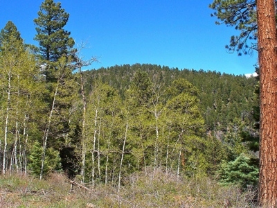 Palo Encebado Peak