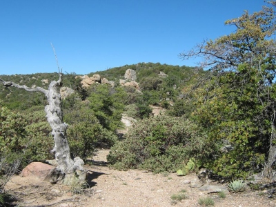 Horse Mountain