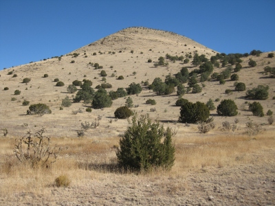 Cerro Pelon