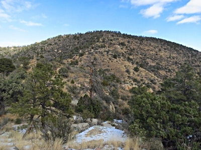 White Mule Ridge