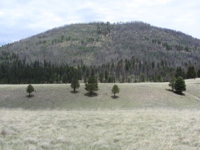 Cerros de los Posos, North