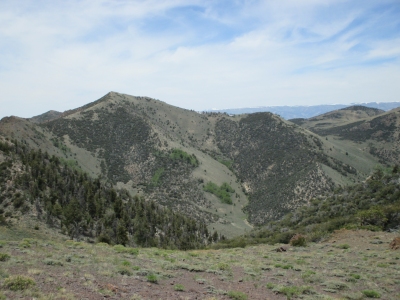 Mahogany Peak