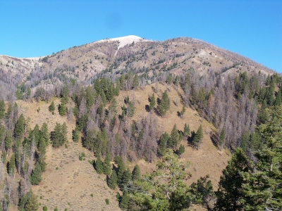 Bear Peak