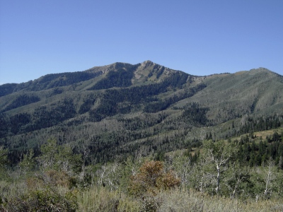 Mill Canyon Peak