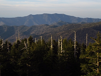 Le Conte, Mount