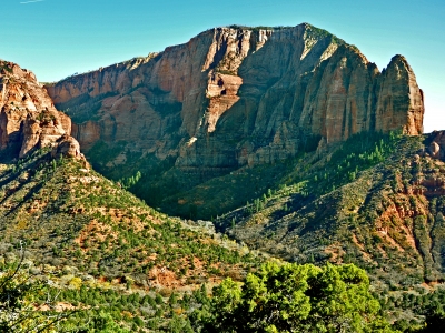 Timber Top Mountain