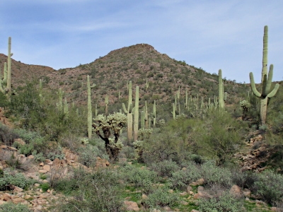 Comet Peak