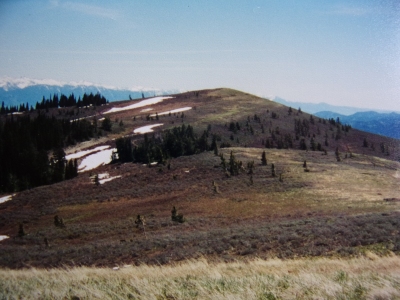 Bald Mountain