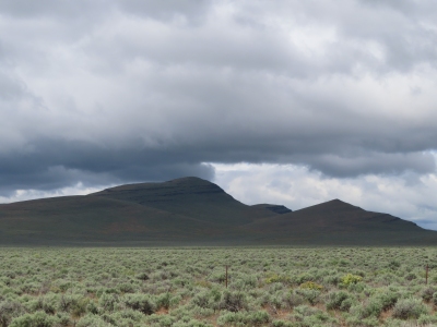 Ryegrass Butte