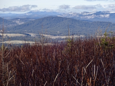 Cherry Butte