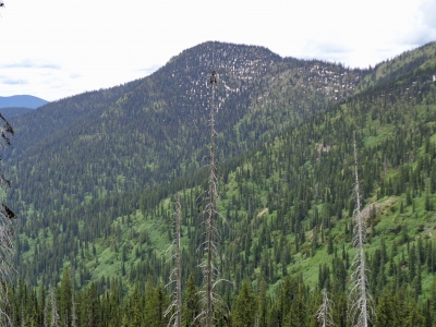 Shedroof Mountain