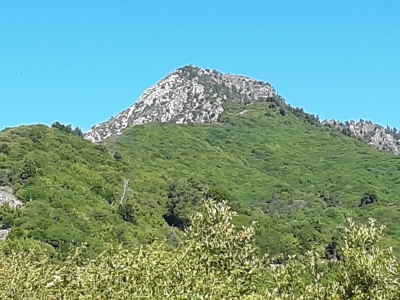 Cone Peak