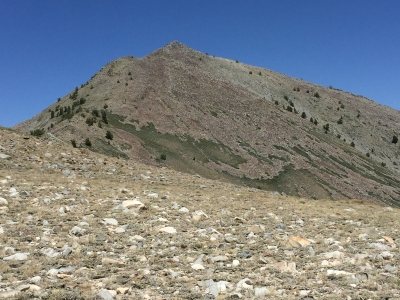 Toiyabe Range Peak