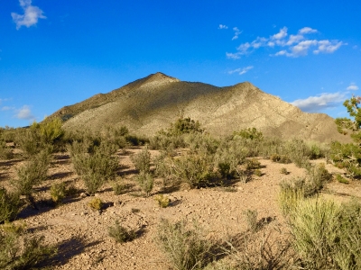 Fossil Peak