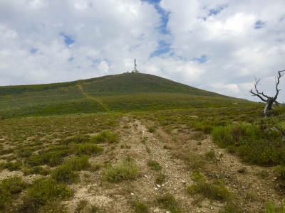 Little Bald Mountain