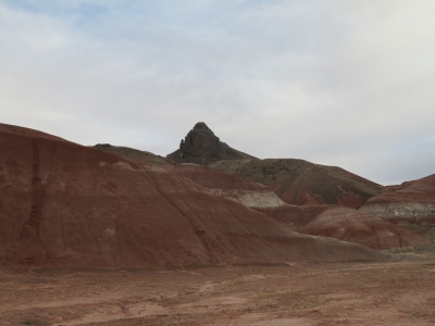 Turkey Track Butte