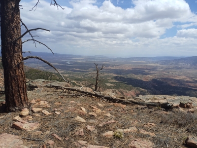 Chama River Canyon Wilderness HP