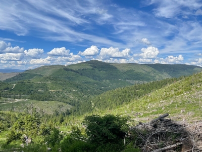 Huckleberry Mountain