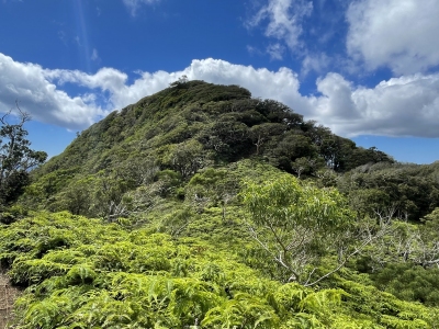 Hawai'iloa Ridge
