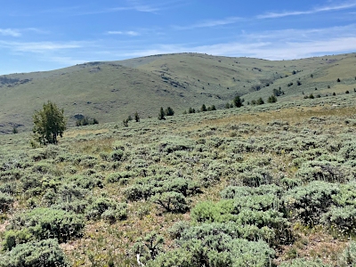 Copper Mountain, South