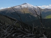 Silverheels, Mount