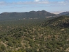 Jicarilla Peak