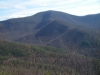 Bluff Mountain