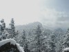 Twin Sisters Peak