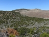 Allred Peak