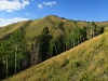 Baldy Peak