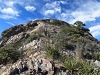 Baldy Peak