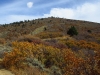 Monument Peak