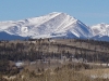 Silverheels, Mount