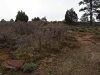 Dolores Canyon Overlook