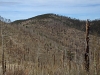 Chiricahua Peak