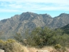 Coyote Mountains (HP)