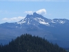 Three Fingered Jack