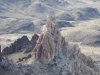 Elephants Tooth