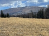 Comanche Peak Wilderness HP