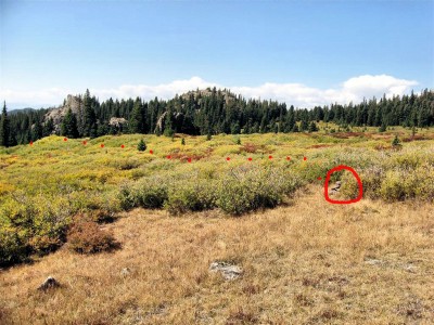 R12 Looking back at trail cairn (Large).jpg