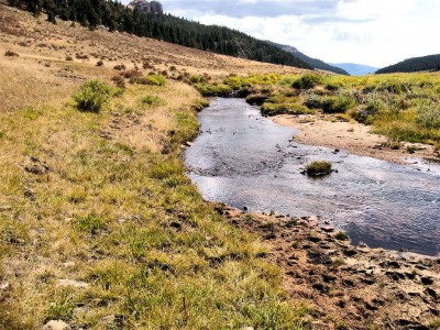 Water Payne Bench (Large).jpg