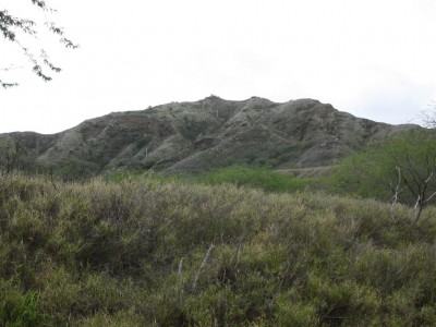 Diamond Head.jpg