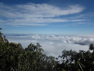 View from Black Mtn Crest Trail.jpg