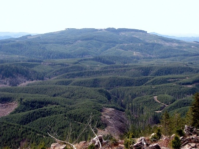 Blue Mountain