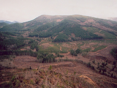 "National Lookout"